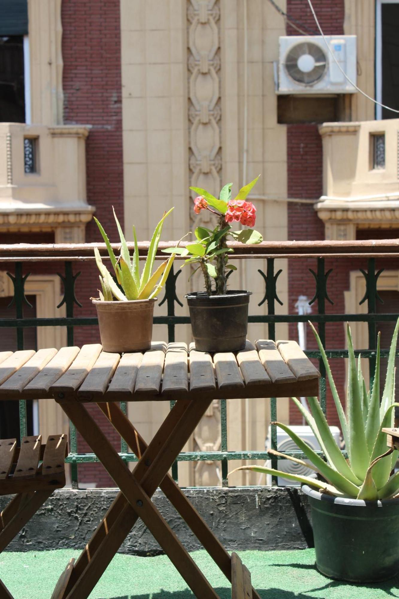Rhala Hostel Egypt Kairo Eksteriør bilde